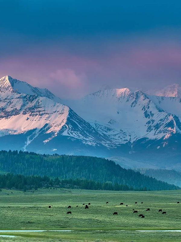 Telluride horseback riding