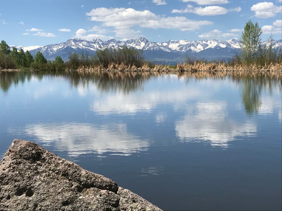 Colorado lake view