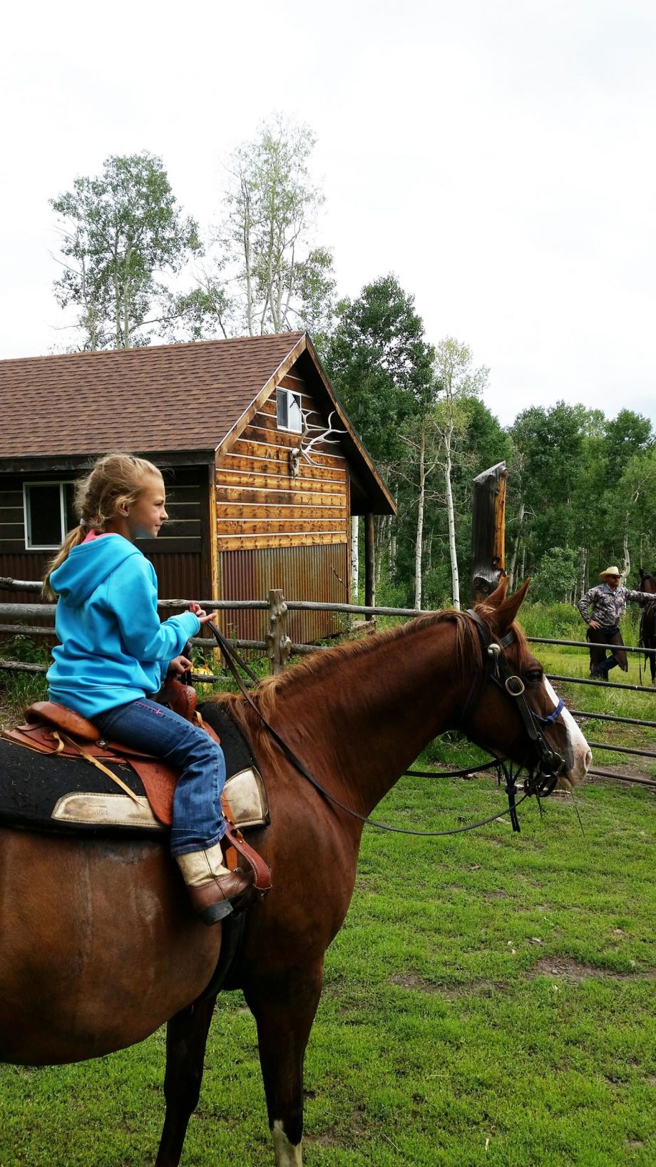 Colorado Horseback rides