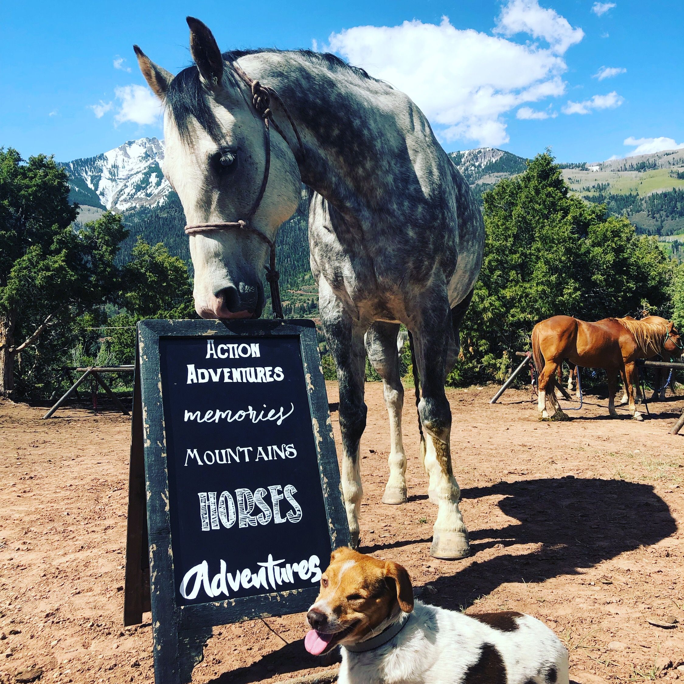 horseback riding ouray