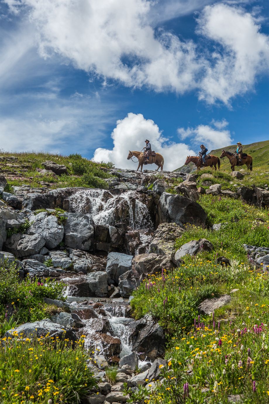 Wilderness overnight horseback trips